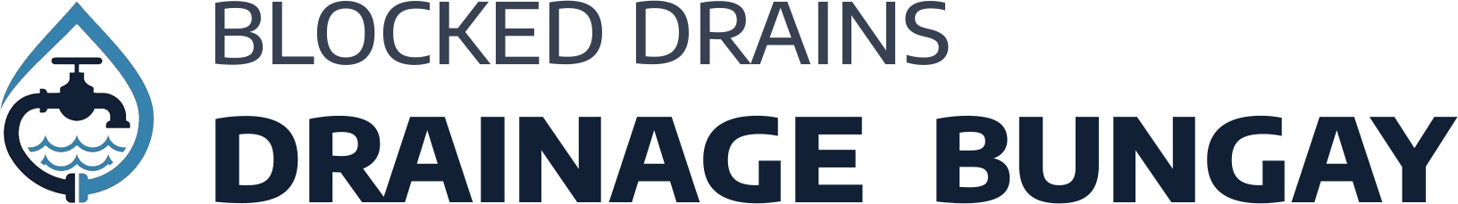 website logo